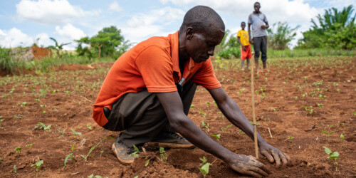 Caritas International Belgique Au rendez-vous de l’humanité : rapport annuel 2023