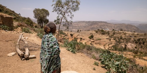 Caritas International Belgique La famine gagne du terrain en Ethiopie – Agissez avec nous !