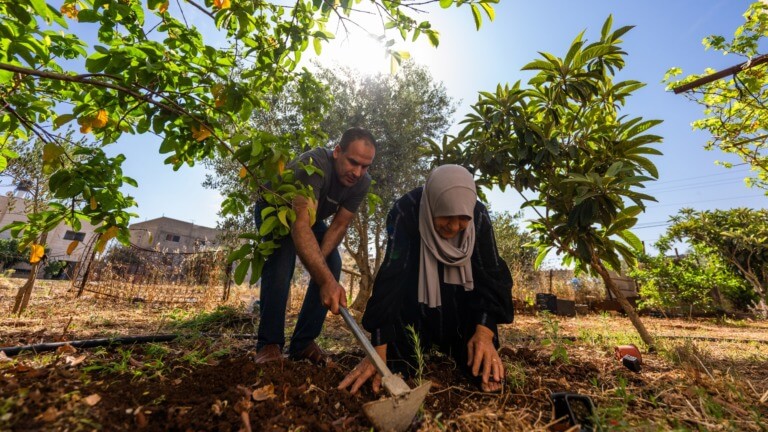 Palestine - coherence - agriculture - urgence - climat